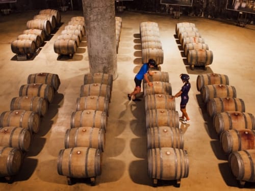 Winery E-bike tour Sitges