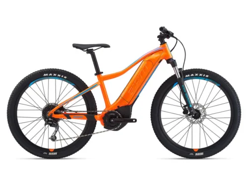 Rent e-bike FATHOM E+ JUNIOR